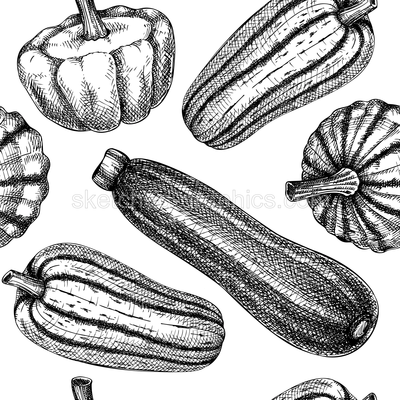 Fresh Pattypan squash sketch background. Hand-sketched Vegetable seamless pattern. Healthy food plant. Vector backdrop with raw cultivated summer squash. Patisson for grocery, markets, packaging,  Illustration
